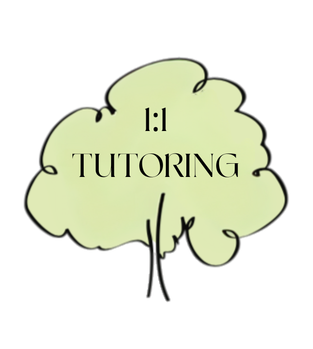 1:1 Tutoring | 60mins