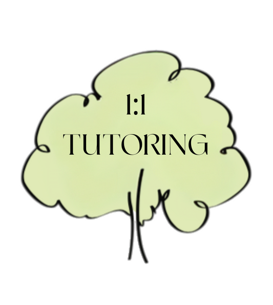 1:1 Tutoring | 60mins