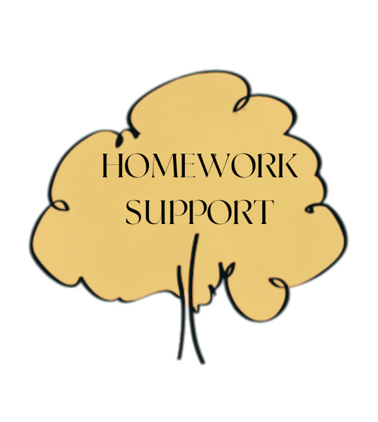 Homework Support | 60mins